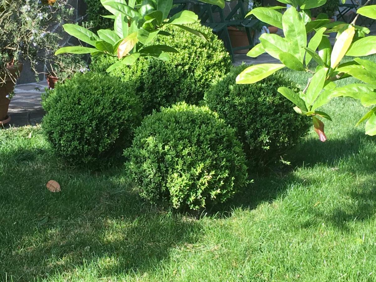 Apartament House&Garden San Donato Milanese Zewnętrze zdjęcie
